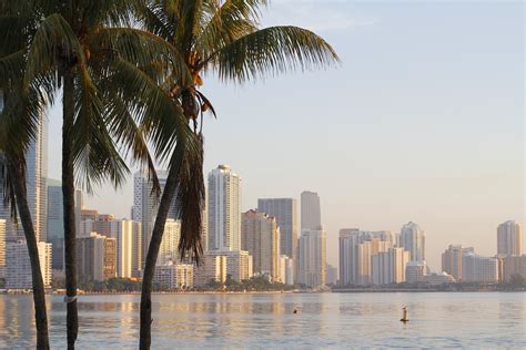 cpa brickell|International CPA of Miami.